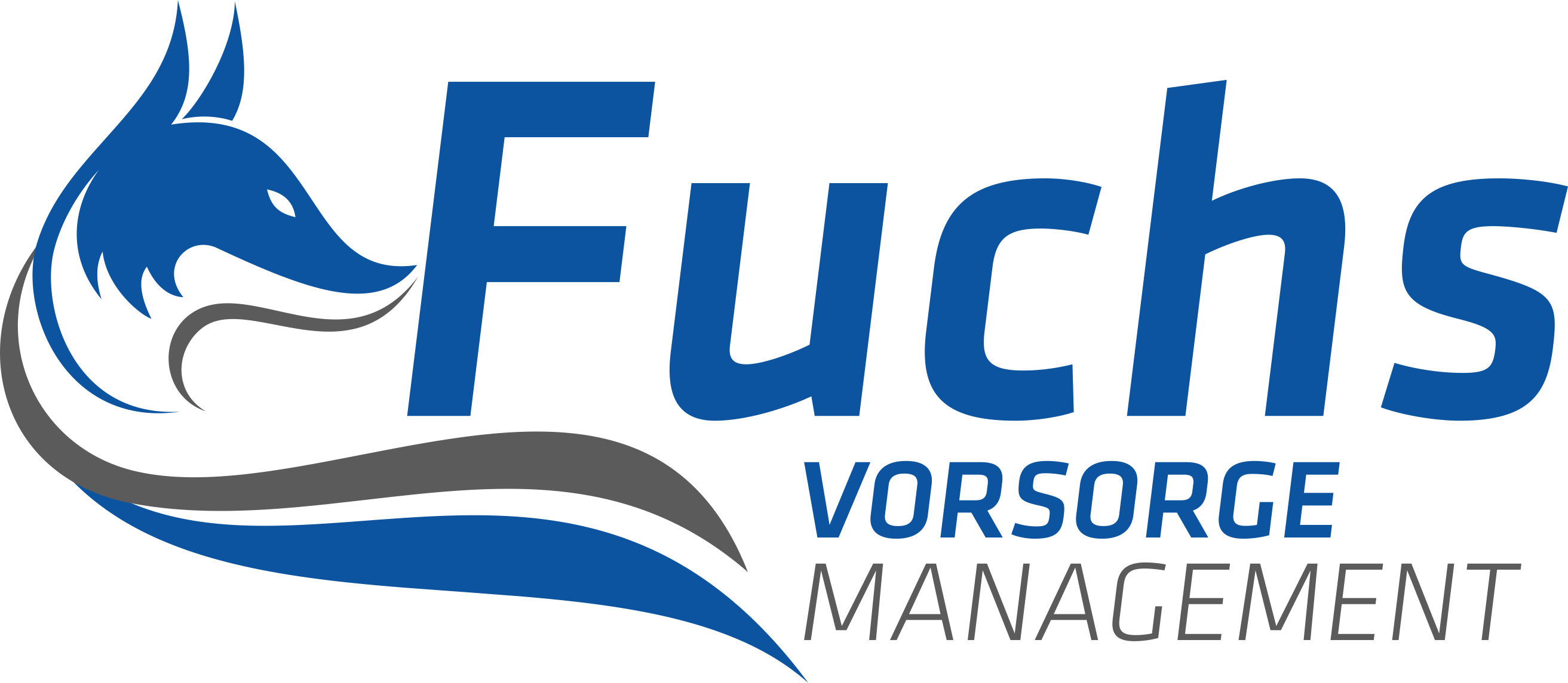 Logo_Fuchs.png